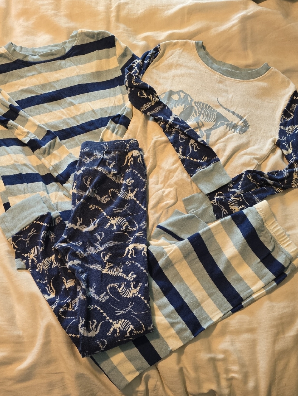 Kirkland Signature Blue & Light Blue Dinosaur Skeleton Kids Pajama Set